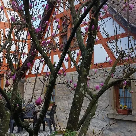 Idyllisches Fachwerkhäusle Mit Terrasse Am Tor Zum Schwarzwald Ferienhaus *